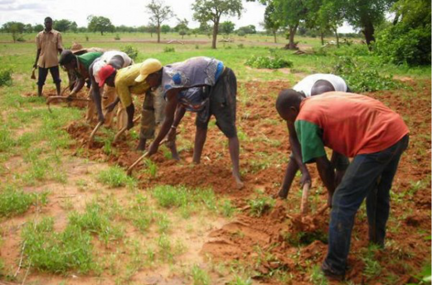  INSÉCURITÉ DANS LA REGION DE BANDIAGARA À L’APPROCHE DE L’HIVERNAGE : LES PAYSANS S’INQUIETENT ET DEMANDENT AUX AUTORITÉS DE  SÉCURISER LES TRAVAUX CHAMPETRES