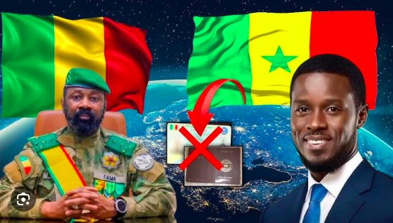  RETRAIT DE LA CARTE NINA DES DOCUMENTS D’ENTRÉE AU SÉNÉGAL UN VRAI CASSE-TÊTE POUR NOS COMPATRIOTES QUI Y FONT DES VA-ET-VIENT !