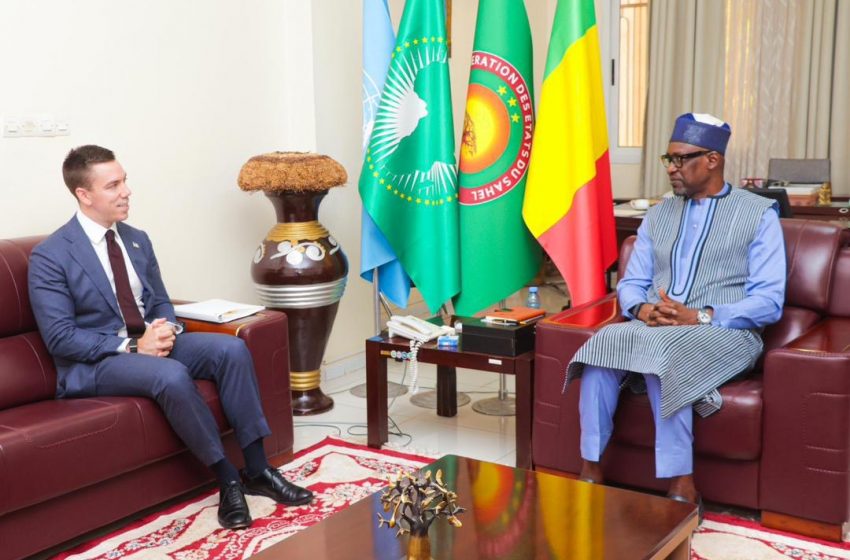  COOPÉRATION MALI – ÉTATS-UNIS : LES ENJEUX DE LA VISITE DE NICK CHECKER DANS NOTRE PAYS