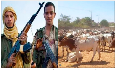  NOUVELLE INCURSION D&rsquo;HOMMES ARMÉS À SÉGOU : PLUSIEURS ANIMAUX ENLEVÉS DANS LE VILLAGE DE SAYE