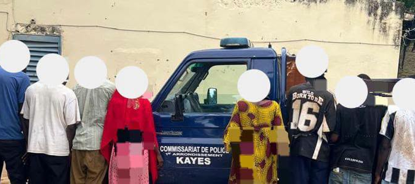  OPERATION « KOKADJE » A KAYES:  08 INDIVIDUS INTERPELLES POUR ‘‘DETENTION ET LA COMMERCIALISATION ILLICITES’’ DE PRODUITS PSYCHOTROPES